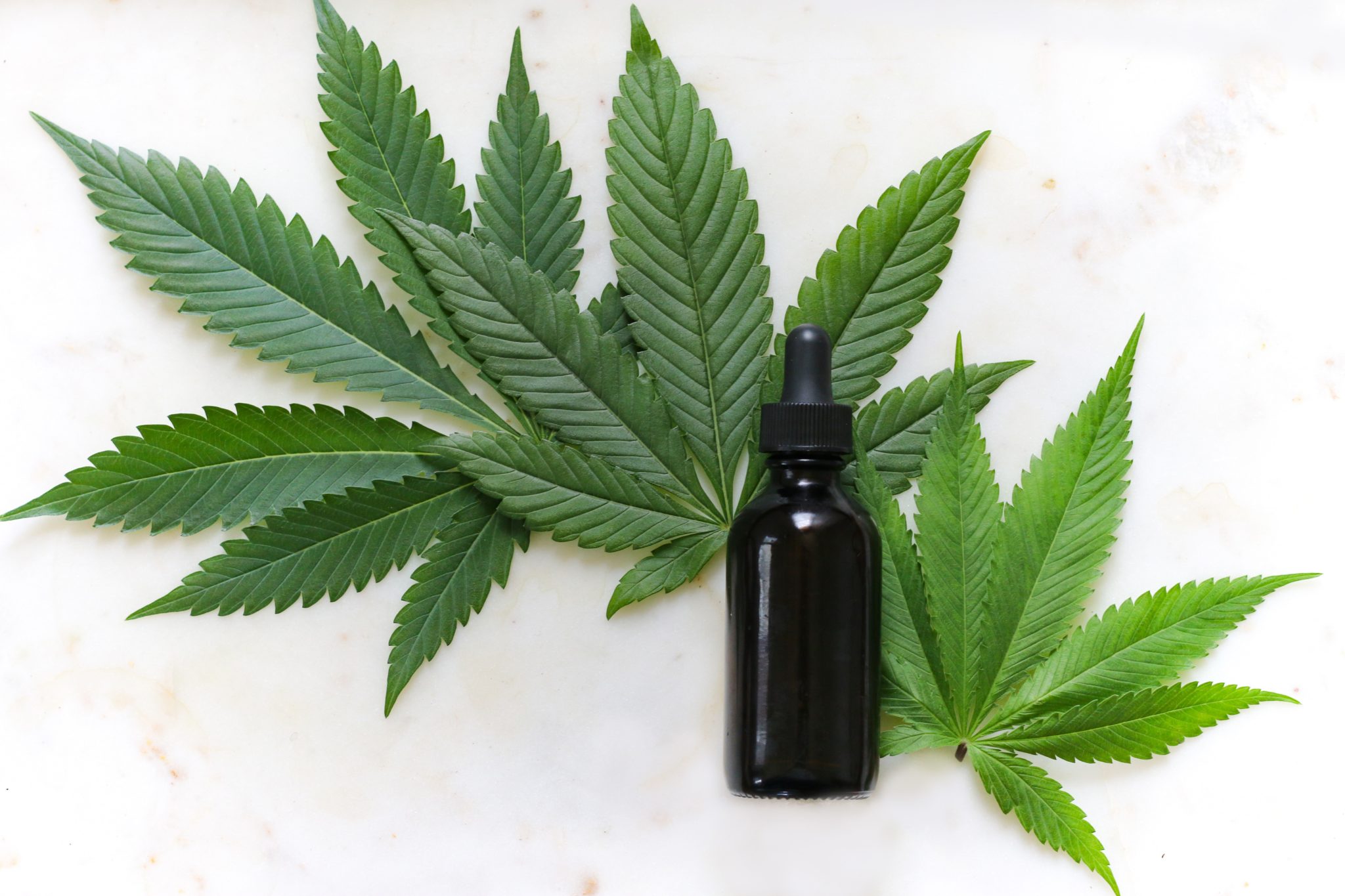 How to Sell CBD Online What to Know Before You Start a CBD Business